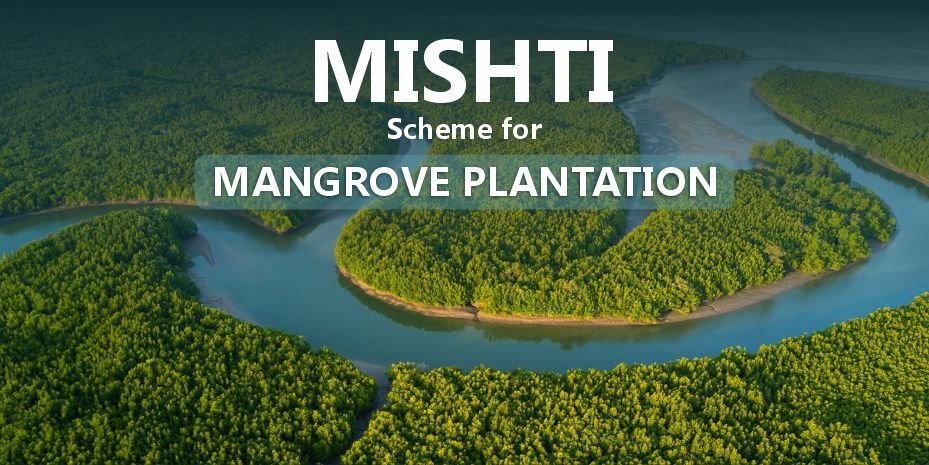 mishti-scheme-for-mangrove-plantations